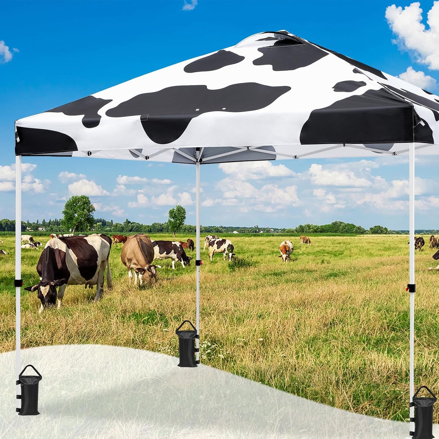 EAGLE PEAK Pop Up Canopy Tent with Wheeled Carry Bag, 8 Stakes, 4 Ropes, 4 Weight Bags, Easy Set Up Tent Canopy, 10x10 ft, 100sqft of Shade, Cow Print
