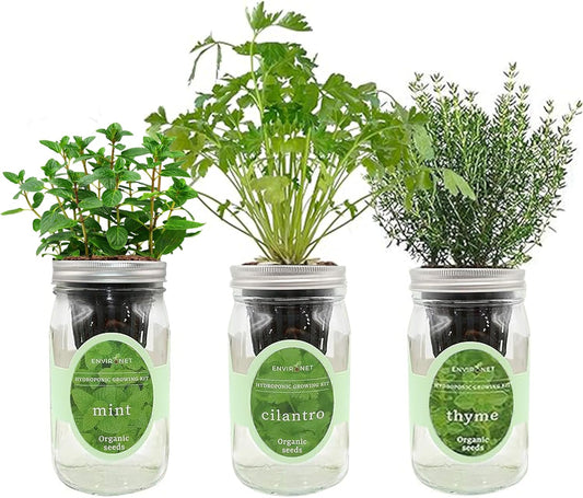 Hydroponic Growing Kit Set, Self-Watering Mason Jar Herb Garden Starter Kit Indoor, Window Herb Garden, Grow Your Own Herbs from Organic Seeds (Mint, Cilantro and Thyme)