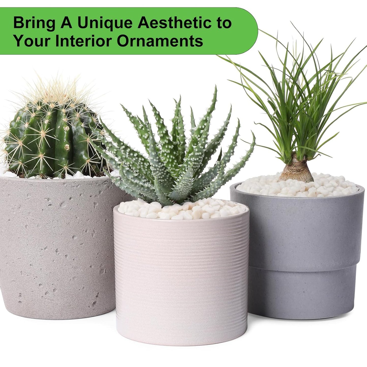 10 lbs White Garden Pebbles for Plants, 3/8" Small Plant Rocks for Pots Indoor, Decorative Pea Gravel for Succulents, Bamboo, Terrarium, Landscaping, Garden