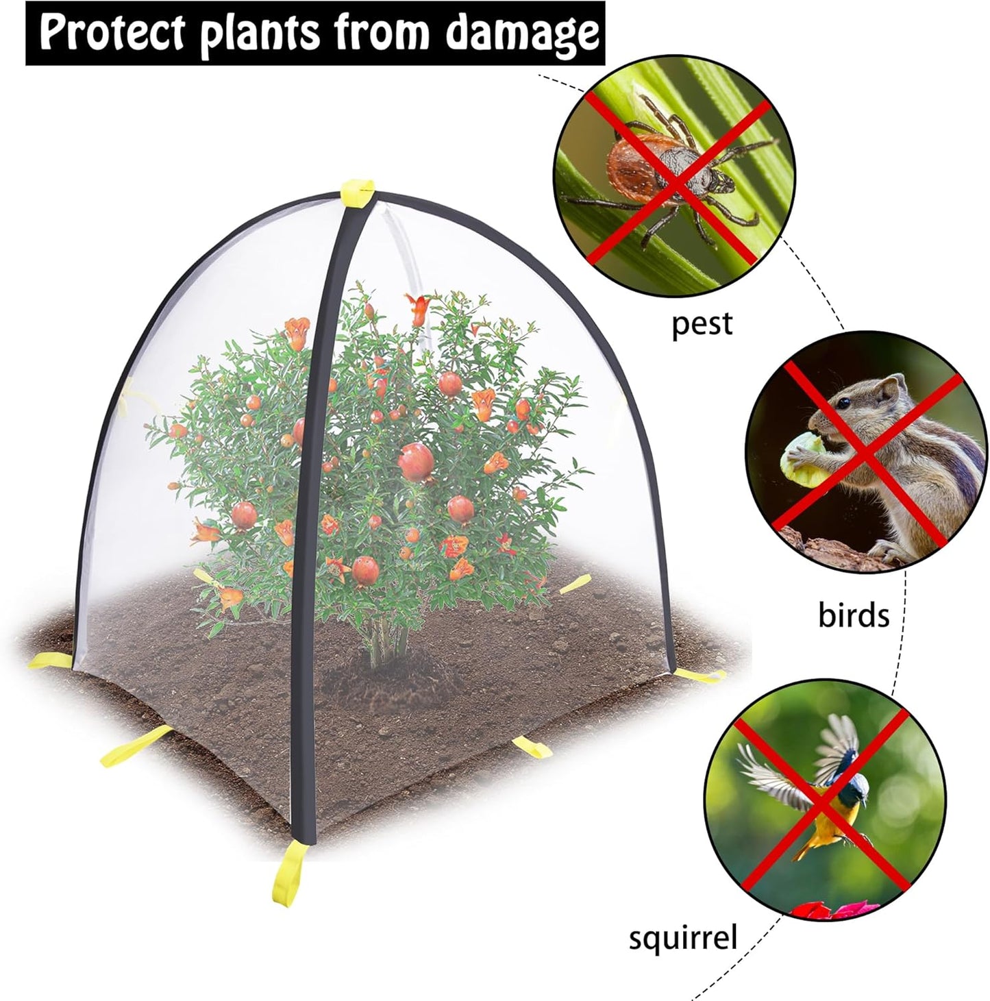 35 x35 x 39 Inch Insect Barrier Plant Tent Cover-Insect Bird Barrier Netting Mesh-Bug Guard Cover with Stakes for Protect Plants Fruits from Insect Bird Eating (1, L)