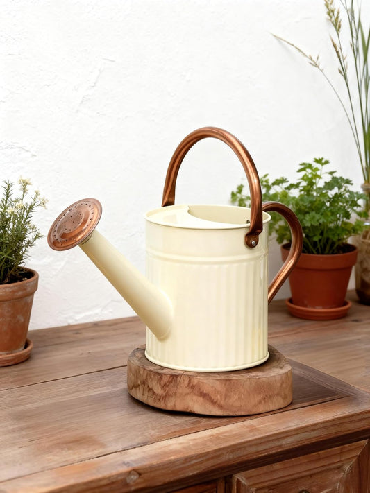 Bamworld Watering Can for Indoor Outdoor Plant Metal Watering Can with Removable Spout Embossd Design Plant Watering Devices Stainless Steel 1/2 Gallon Watering Cans Perfect Home & Garden Décor Creamy