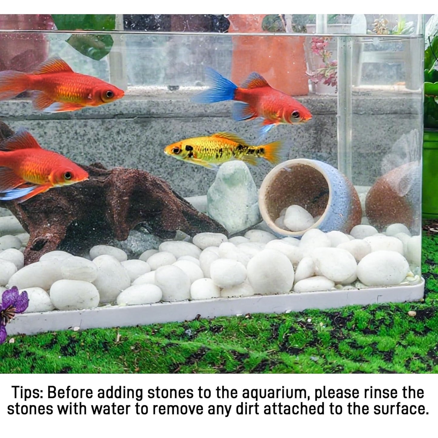 45lbs White River Rocks, 1-2 Inch Natural Pebbles for Indoor Plants, Polished Pebbles for Garden Landscaping Aquariums Vase Fillers and Outdoor Decorative Stones