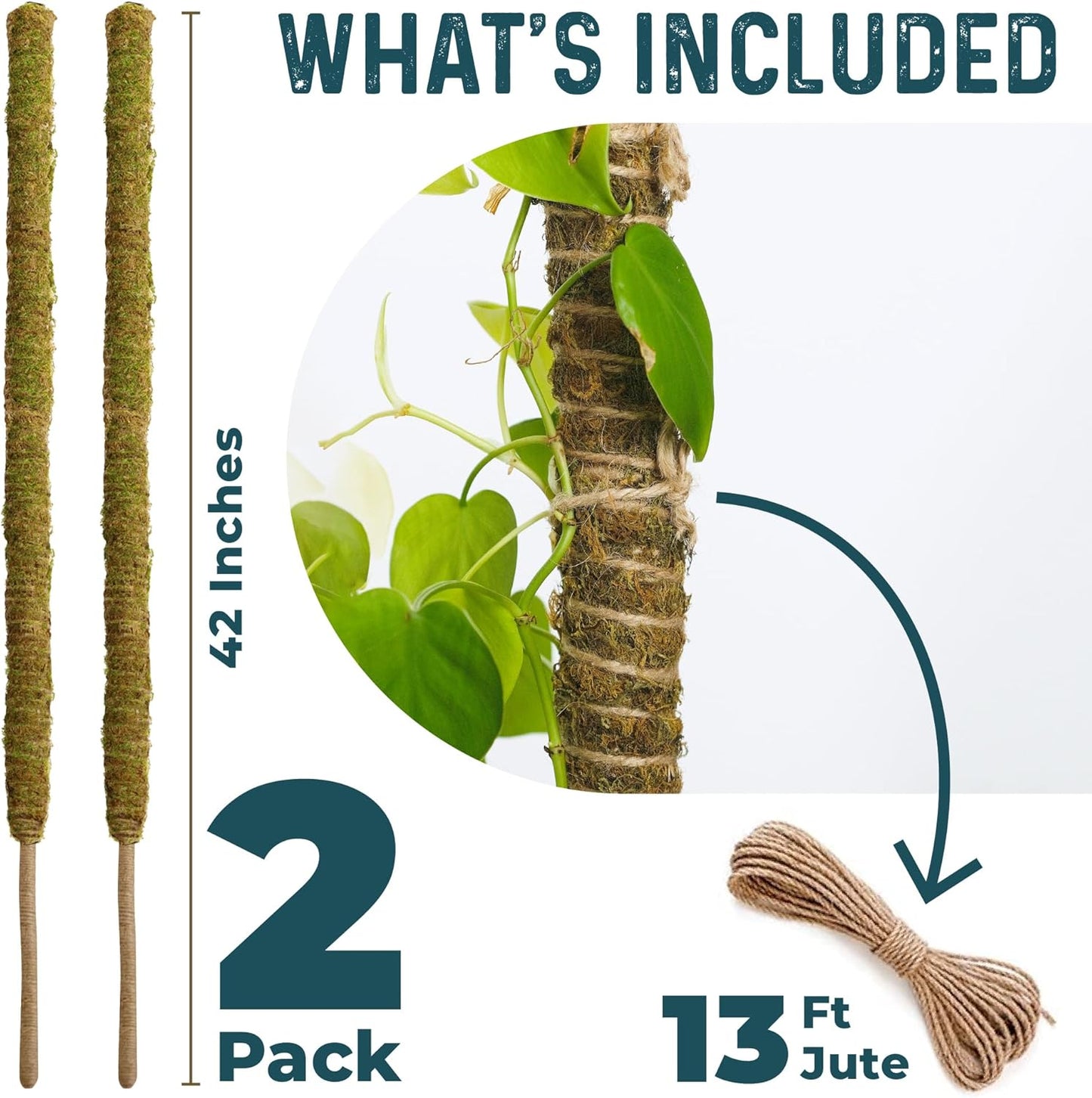 2 Pack 42'' Bendable Moss Pole Monstera Plant Support - Real Forest Moss for Climbing Indoor Plants - Stakes for Potted Climbers - Tall Sticks Indoor Trellis for Houseplants - Pot Accessories