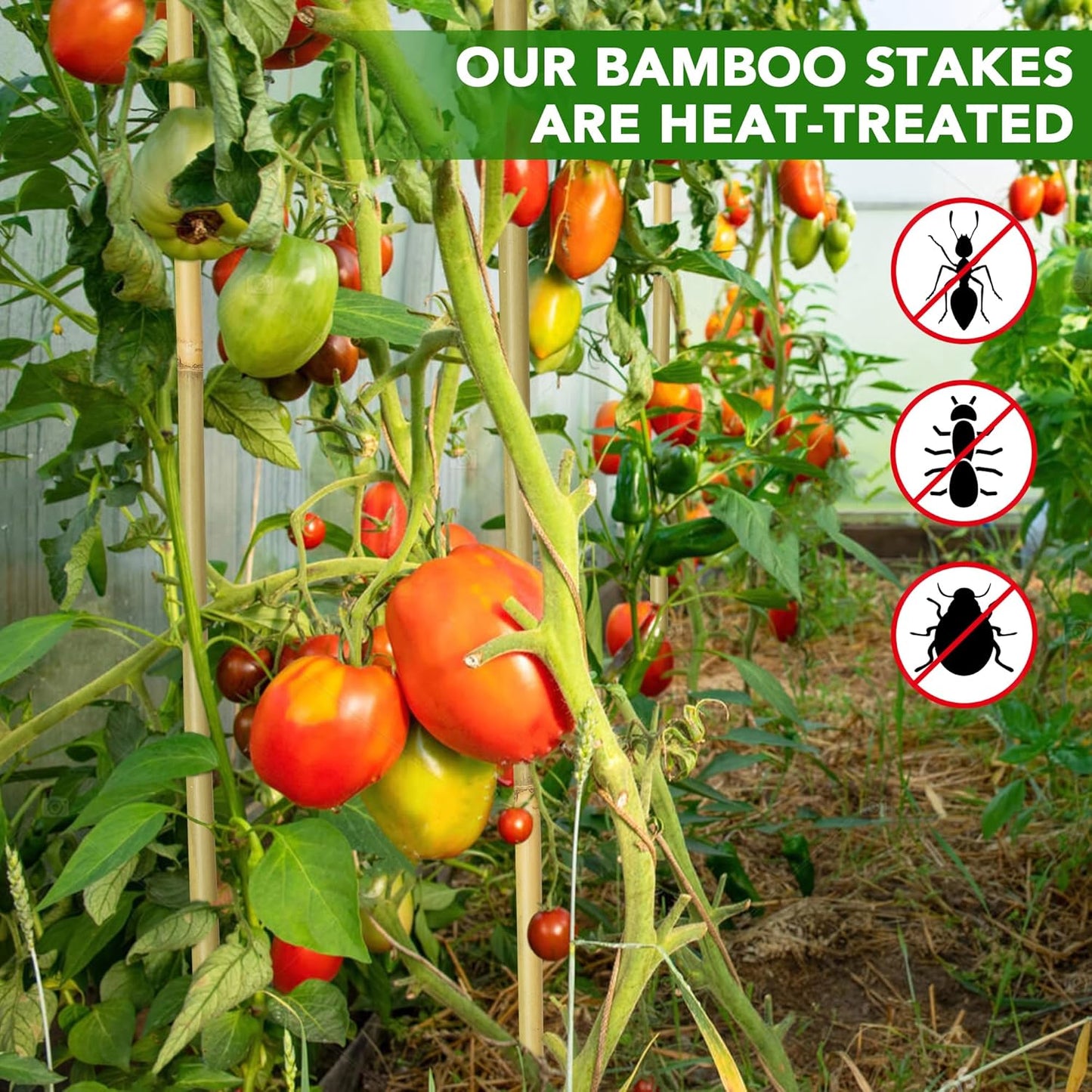 60Pcs Bamboo Stakes for Plant 4 Feet, Garden Bamboo Plant Stakes for Plants Support, Bamboo Sticks for Climbing Plants, Tomatoes, Sunflowers, Beans, Potted Plants, Trees