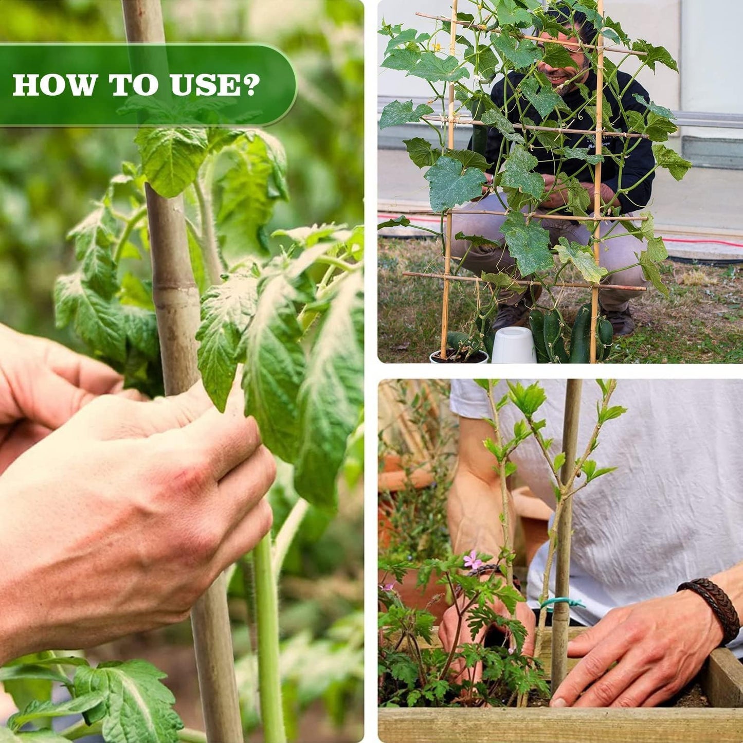 25pcs 1/2" D Thicker Heavy Duty Bamboo Stakes, 4.75FT Plant Stakes, Natural Garden Stakes for Tomato, Bean, Flowers,Trees Potted and Climbing Plant Support