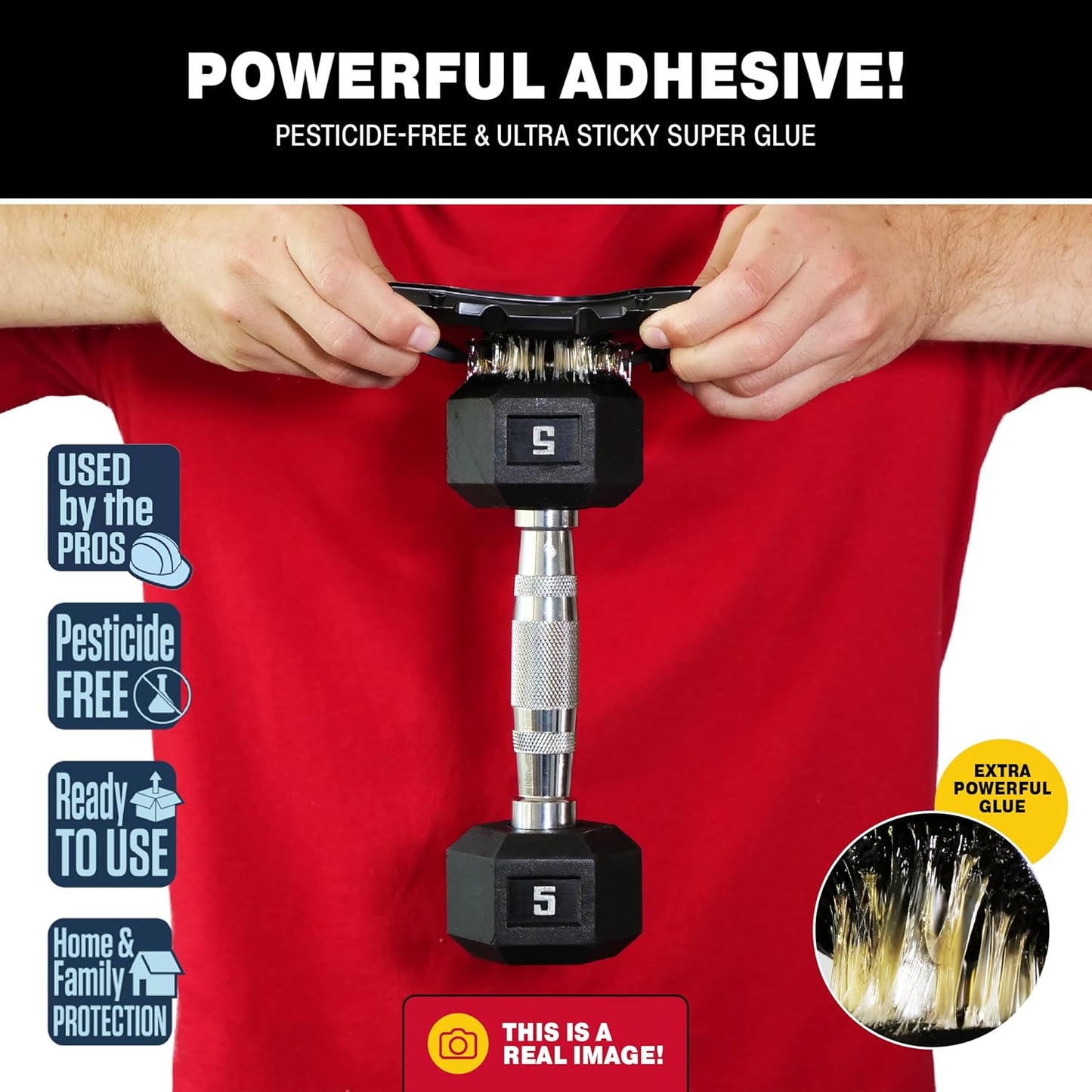 Catchmaster Mouse & Insect Glue Traps 40-Pk, Adhesive Rodent & Bug Catcher, Mouse Traps Indoor for Home, Sticky Glue Boards for Mice and Insects, Pest Control for House & Garage