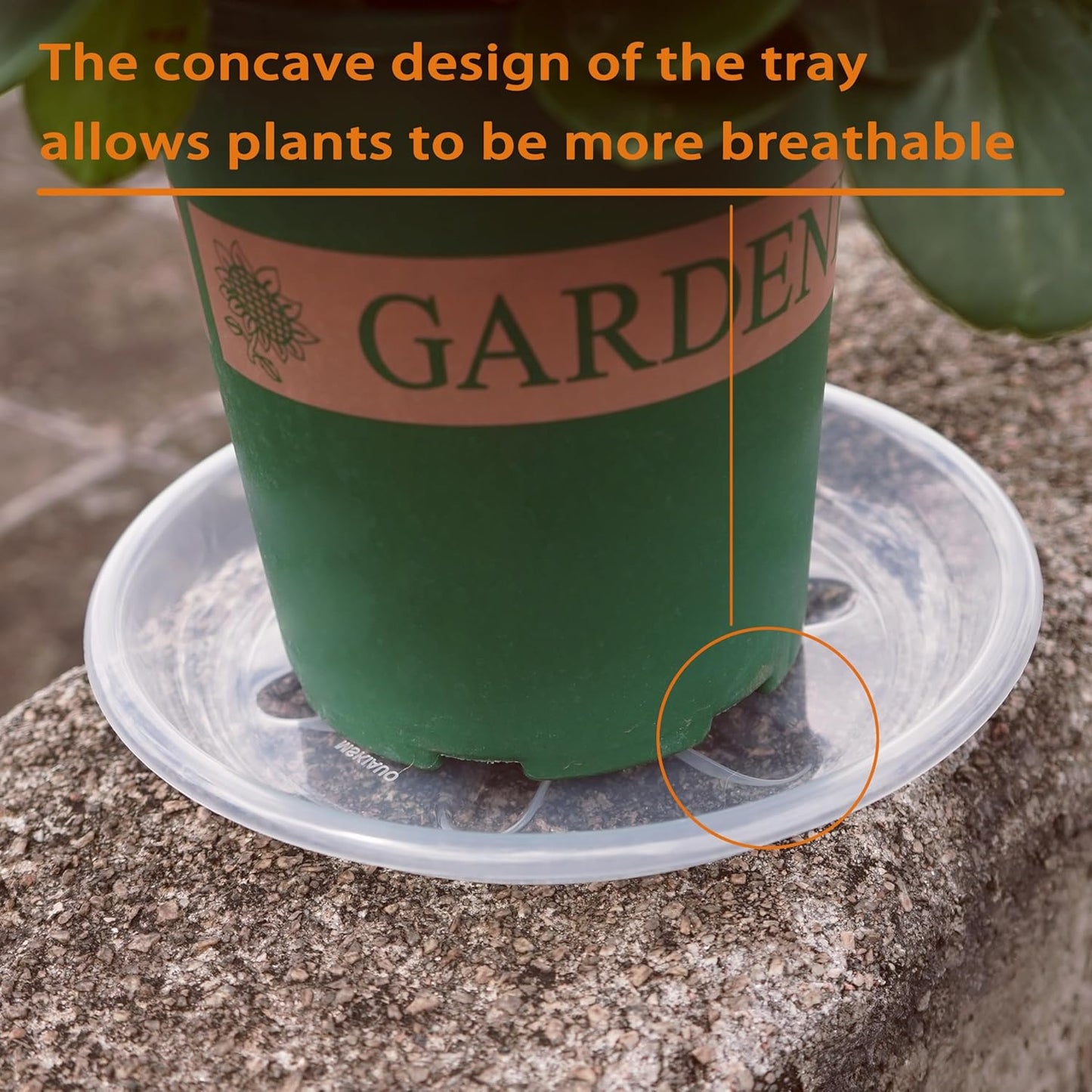 12 Pack of Plant Saucer 6 8 10 inch, Heavy Duty Clear Plastic Plant Saucers, Plant Drip Trays for Indoors Outdoor, Plant Water Plate for Planters