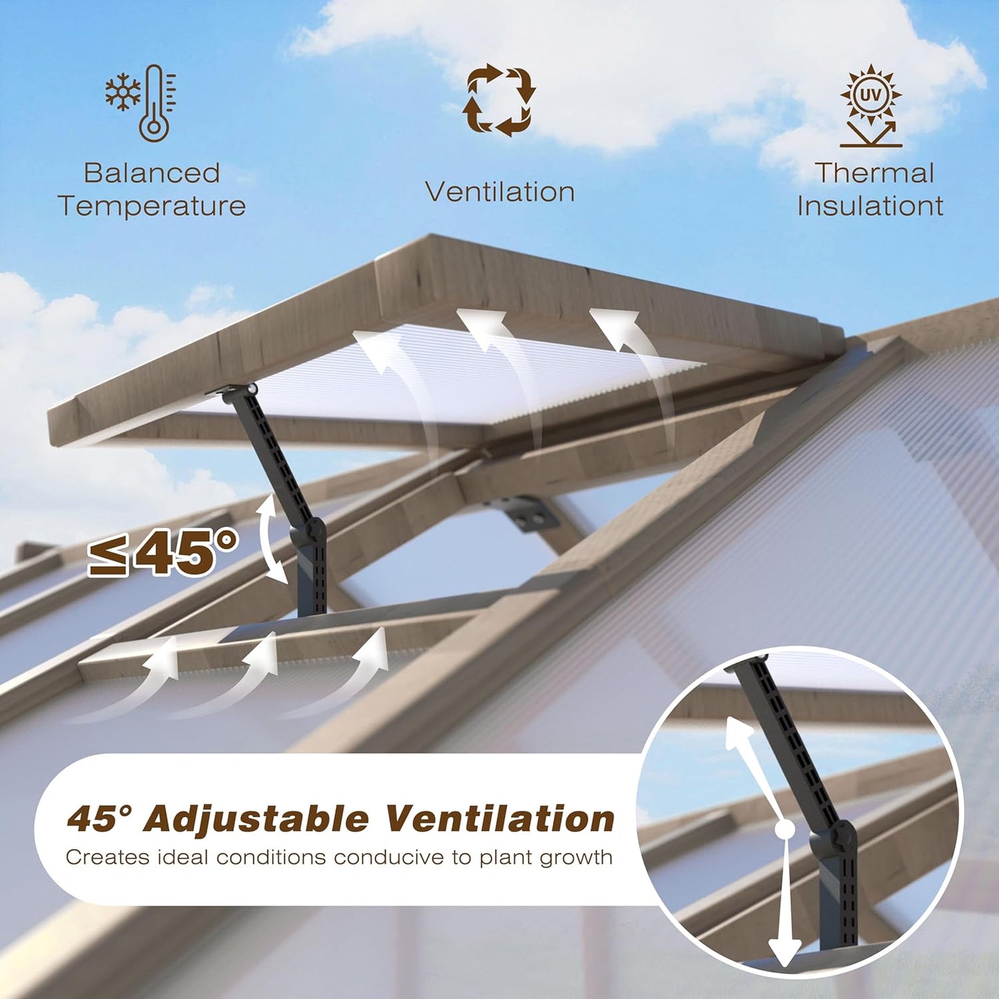 BlueWish 6x10FT Greenhouse, Greenhouses for Outside with Cedar Frame, Wood Greenhouse with Adjustable Vent, 6MM Polycarbonate Panel, Green House for Outside, Garden, Backyard
