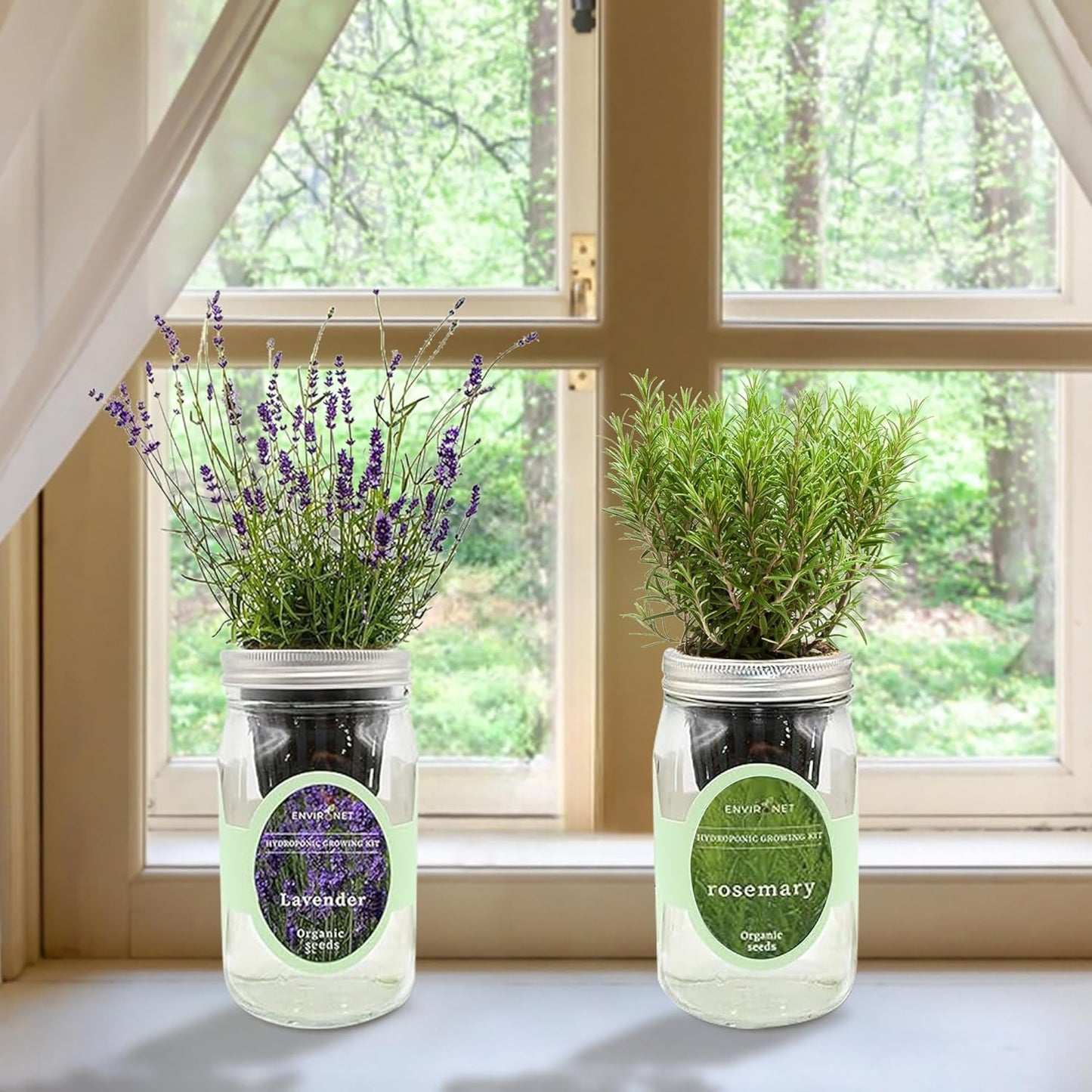 2-Pack Hydroponic Mason Jar Herb Garden Kit, Indoor Herb Garden Self-Watering Starter Kit (Dill,Lavender)