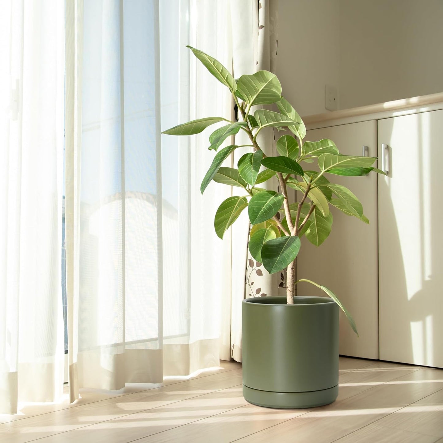 D'vine Dev Set of 2 Plants Pots, 10 Inch Ceramic Planter Pot for Plants with Drainage Hole and Saucer, Olive, 94-V-E-J