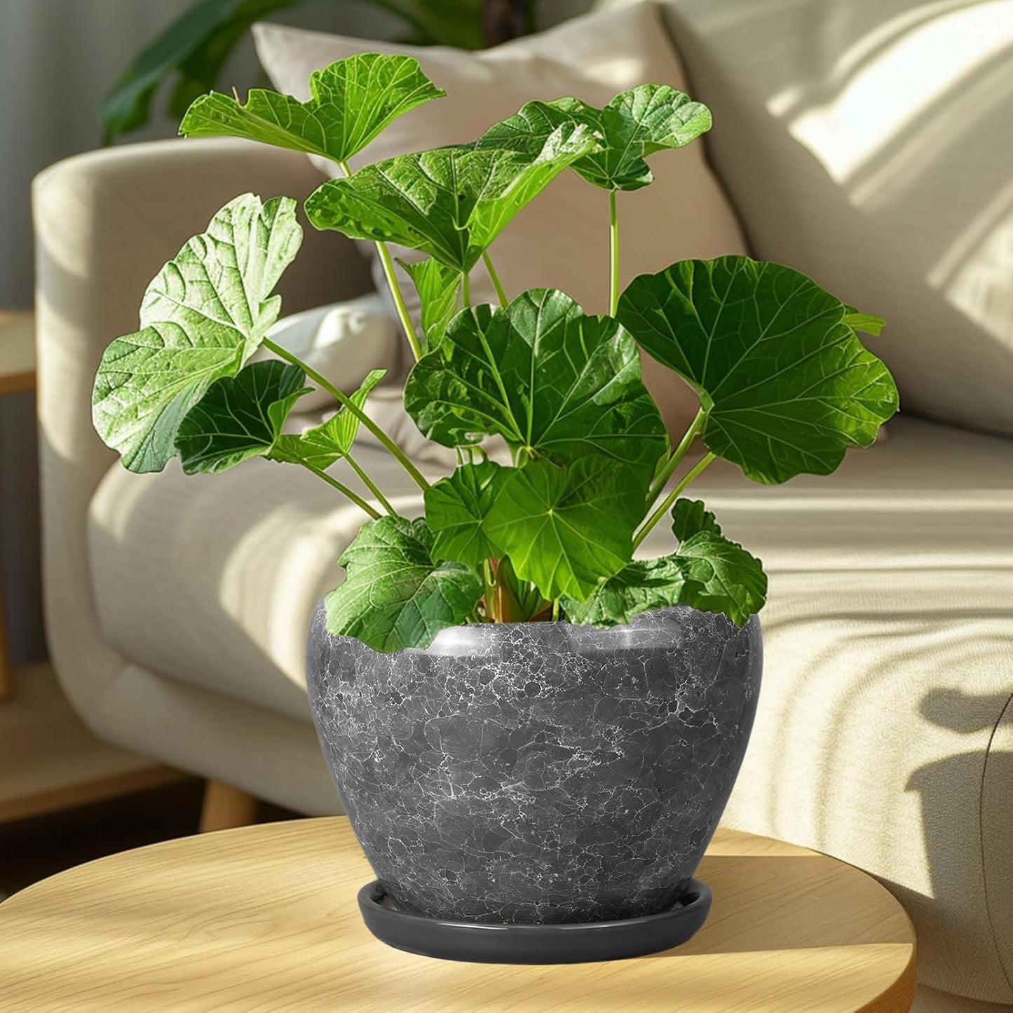 8 Inch Plant Pot - Ceramic Planter Pot with Drainage Hole and Saucer, Glaze Garden Pot Modern Flower Pot for Indoor Plants, Gray