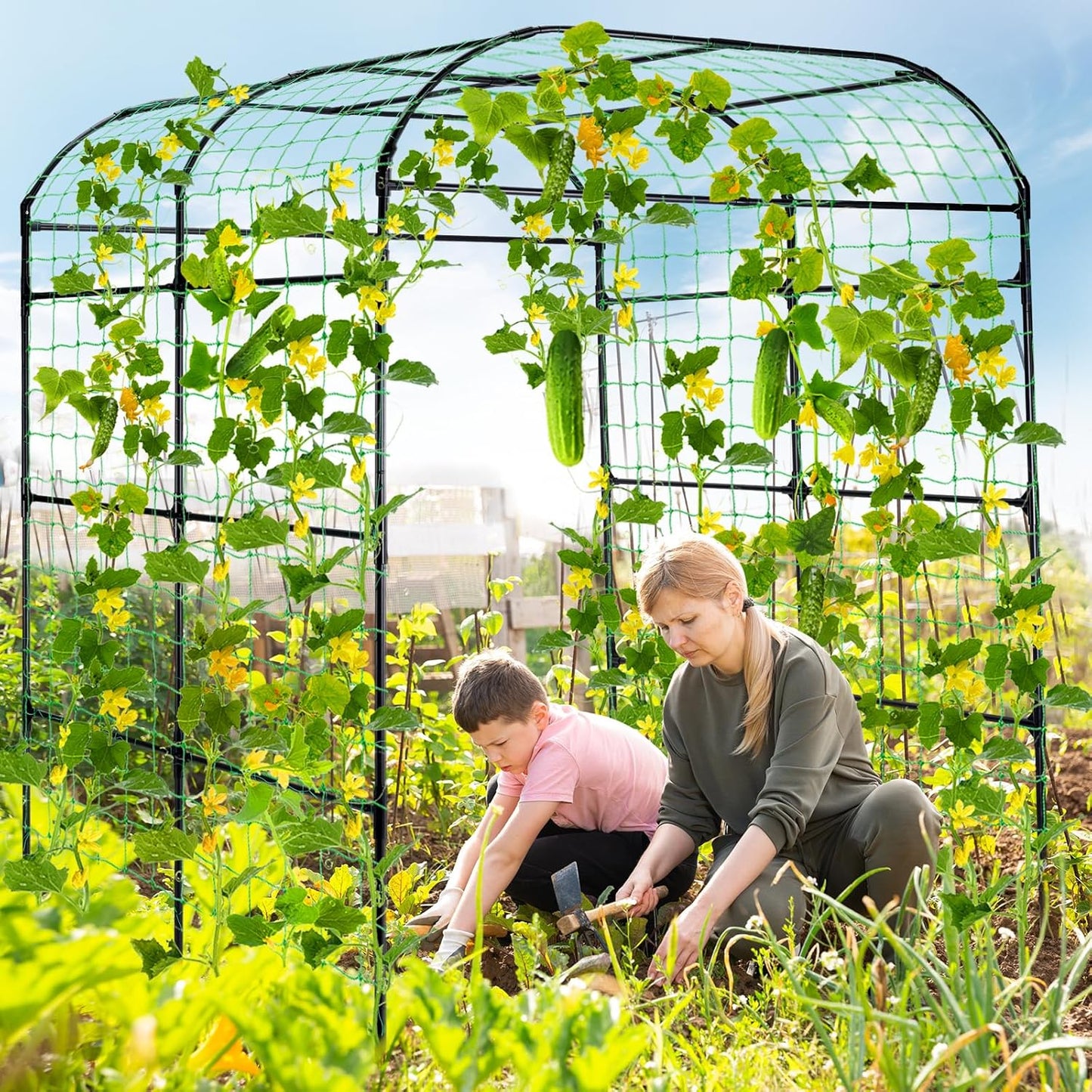Lalahoni Large Garden Trellis Arch for Climbing Plants Outdoor, 7.8 feet Tall Metal Walkway Arbor Plant Support Vine Flower Vegetables Cucumber Trellis for Raised Bed, with Netting, Lightweight