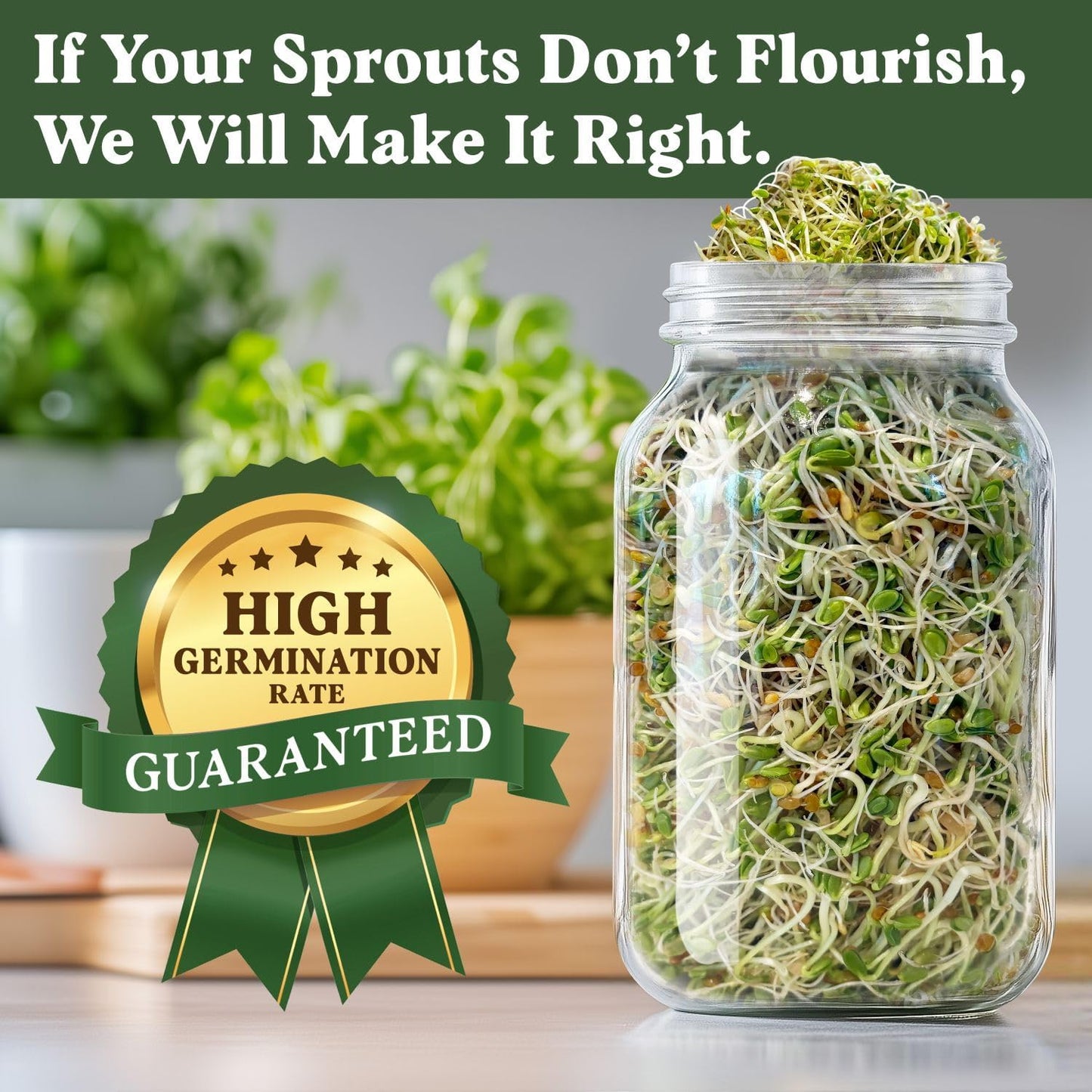 Seedboy Organic Sprouting Seeds - Hormone Balance Blend - Non-GMO USA Grown Microgreens Mix - Golden Flax, Red Clover, Fenugreek - Makes 8 Quarts of Sprouts, 24 Servings (8oz) (Hormone Balance Blend)