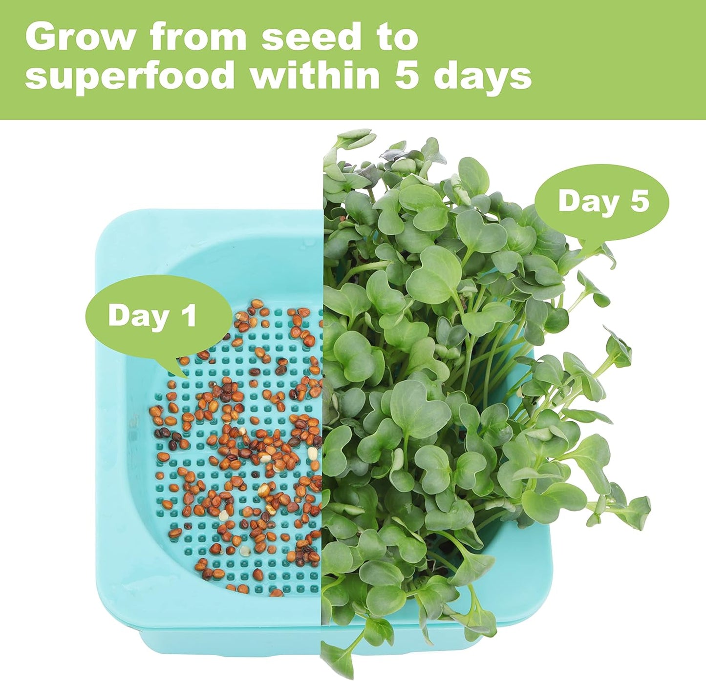 Microgreen Growing Trays, LUVCSOY Sprouting Tray with Humidity Dome, 3mm Large Mesh Holes, BPA Free, Sprouter Kit for Growing Large Seeds, Like Sunflower, Mung Beans, Green Pea - 4 Pack | Colorful