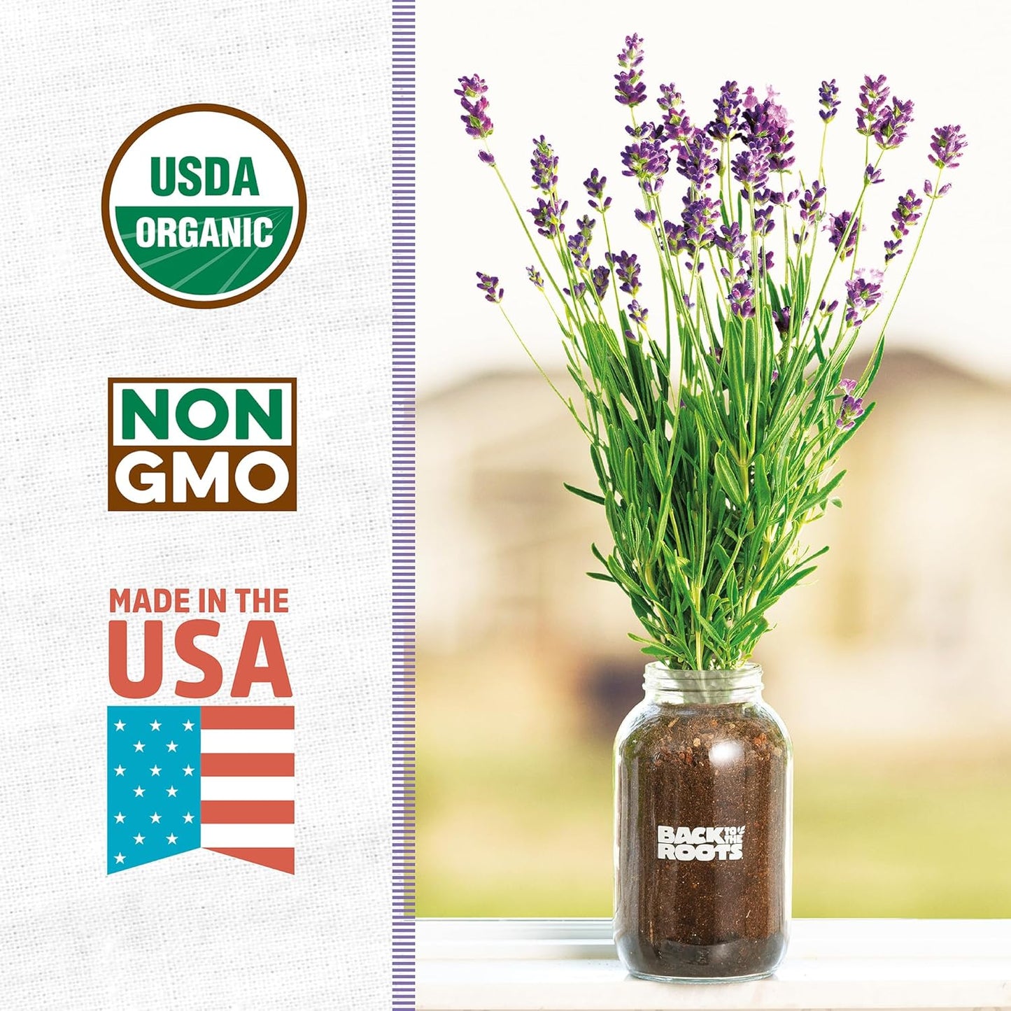 Back to the Roots Windowsill Planter: Lavender