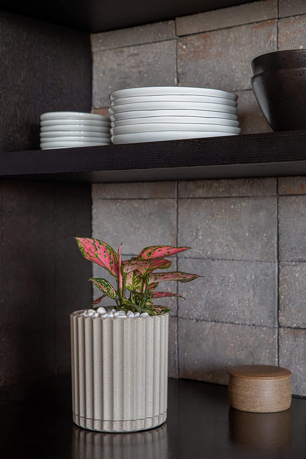 Veradek Demi Series Demi 6" Planter w/Tray, Sand