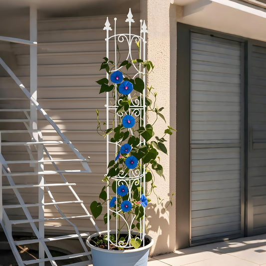 Garden Trellis 2 Pack 72'' H x 12'' W Metal Plant Trellis Indoor/Outdoor Metal Garden Trellis Plant Trellis for Potted Plants Climbing Houseplants Flowers
