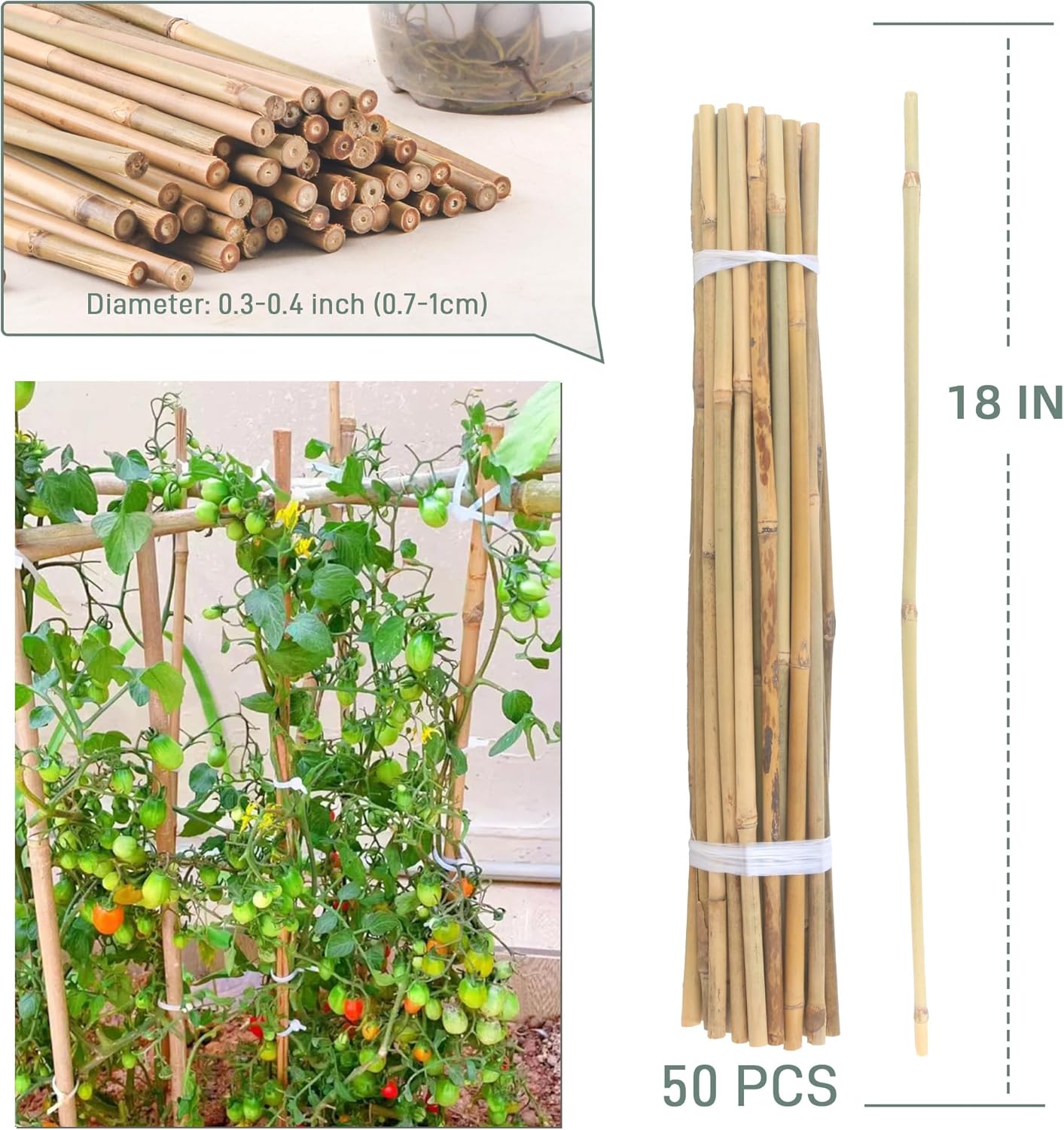 50Pcs / 18 inch Bamboo Plant Stakes for Indoor Outdoor Plants, Garden Plant Support Sticks, Poles for Tomato Vegetables Beans Trees Potted Climbing Plants(0.32''-0.4'')