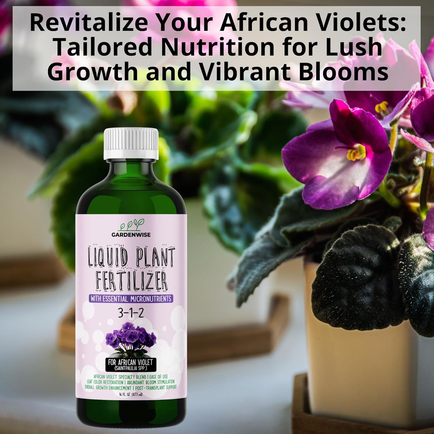 3-1-2 African Violet Fertilizer for Indoor Plants: Liquid Fertilizer with Essential Micronutrients Drops - Plant Food for African Violets (16 OZ)