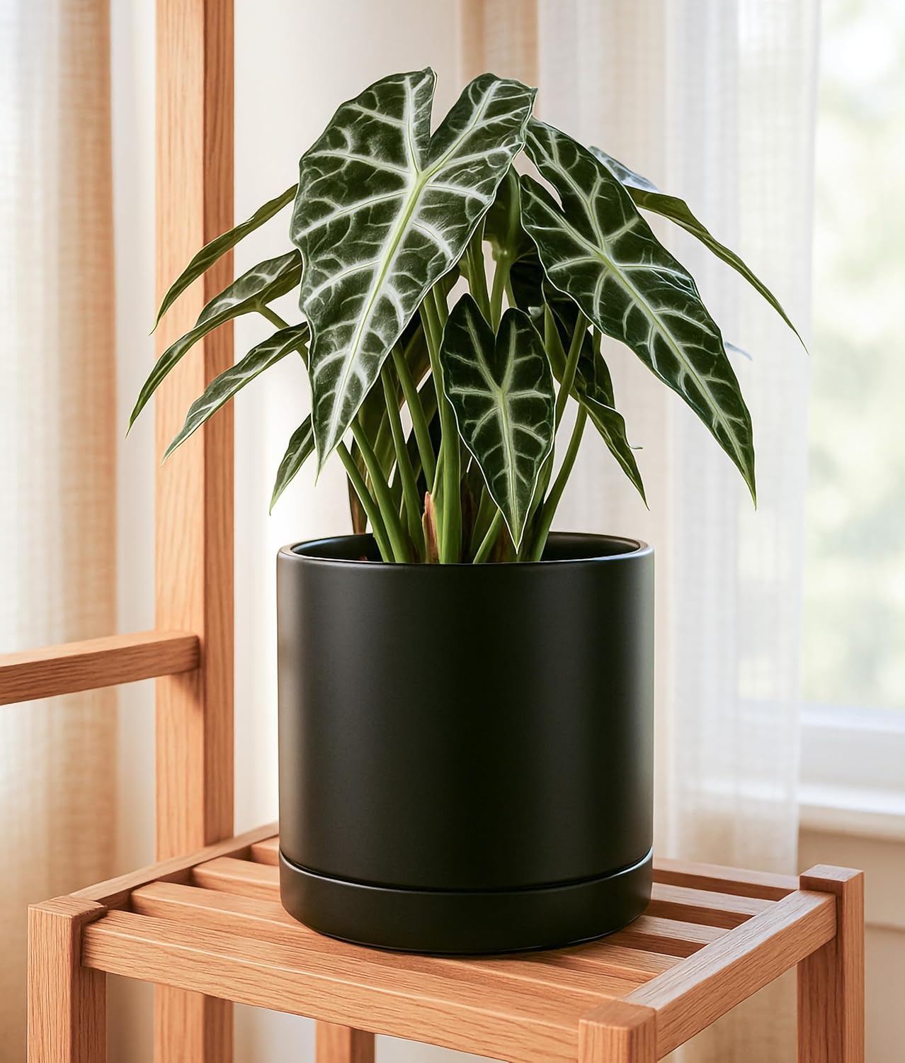 D'vine Dev 6 Inch & 8 Inch & 10 Inch, Set of 3 Round Ceramic Planter Pot with Drainage Hole and Saucer, Black, 94-T-L-2