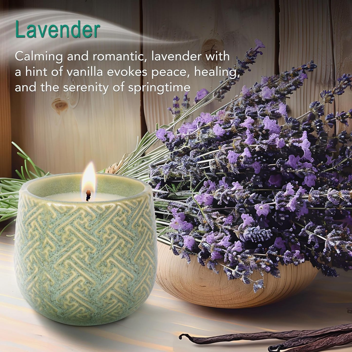 The Growing Candle, Lavender Scented, 10oz Ceramic Pot, Single Wick Aromatherapy Candles, 100% Soy for Women and Men, Ida