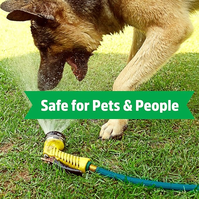 Back to the Roots Kink Resistant, BPA-Free Garden Hose, 50ft