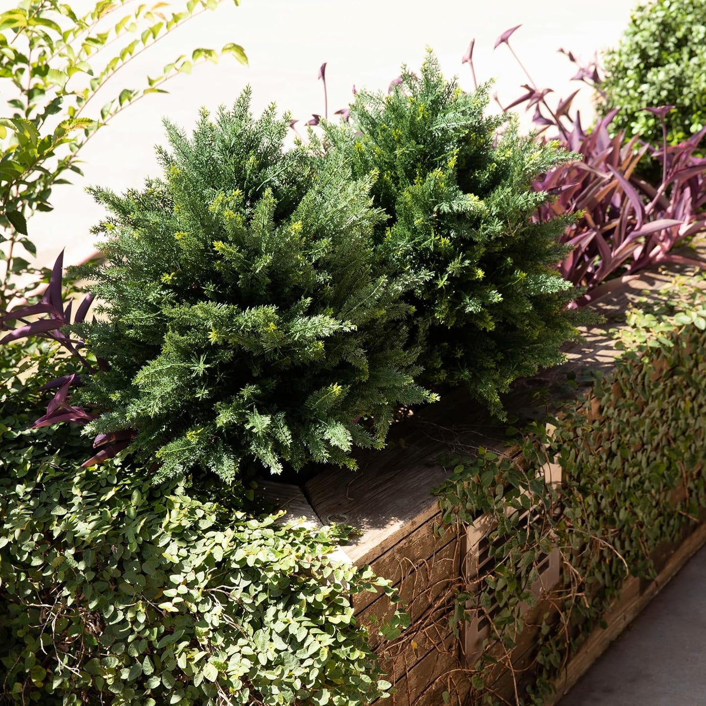 Premium 16" Diameter Artificial Cypress Topiary – Set of 2 Faux Plants with Ground Spikes – UV-Resistant, Realistic Outdoor & Indoor Greenery – Weatherproof Garden Landscaping Décor