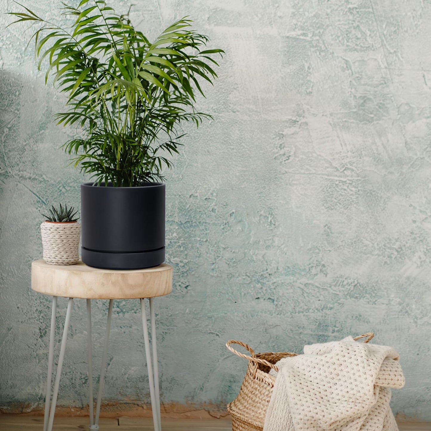 Phoenix Vine 8 Inch Planter Pot with Drainage Hole & Saucer, Deep Water Catch Tray, Straight Cylindrical Round Pot for Plants, Matte Black, Pack of 1, 23-C-T-1