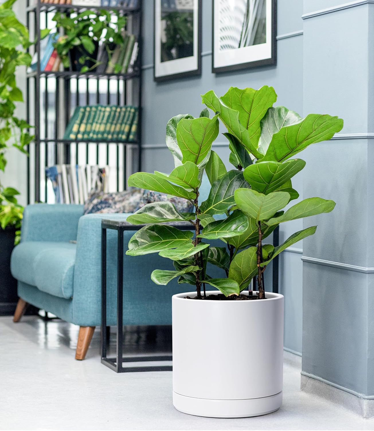 D'vine Dev 6 Inch & 8 Inch & 10 Inch, Set of 3 Round Ceramic Planter Pot with Drainage Hole and Saucer, White, 94-T-L-1