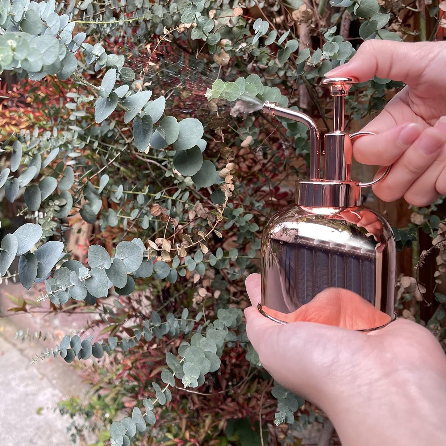 Stainless Steel Plant Mister Spray Bottle Watering Can for Indoor Plants Succulent Bonsai Garden Spray Houseplant Spritzer Modern Garden Tools 10oz/300ml (ROSE GOLD)