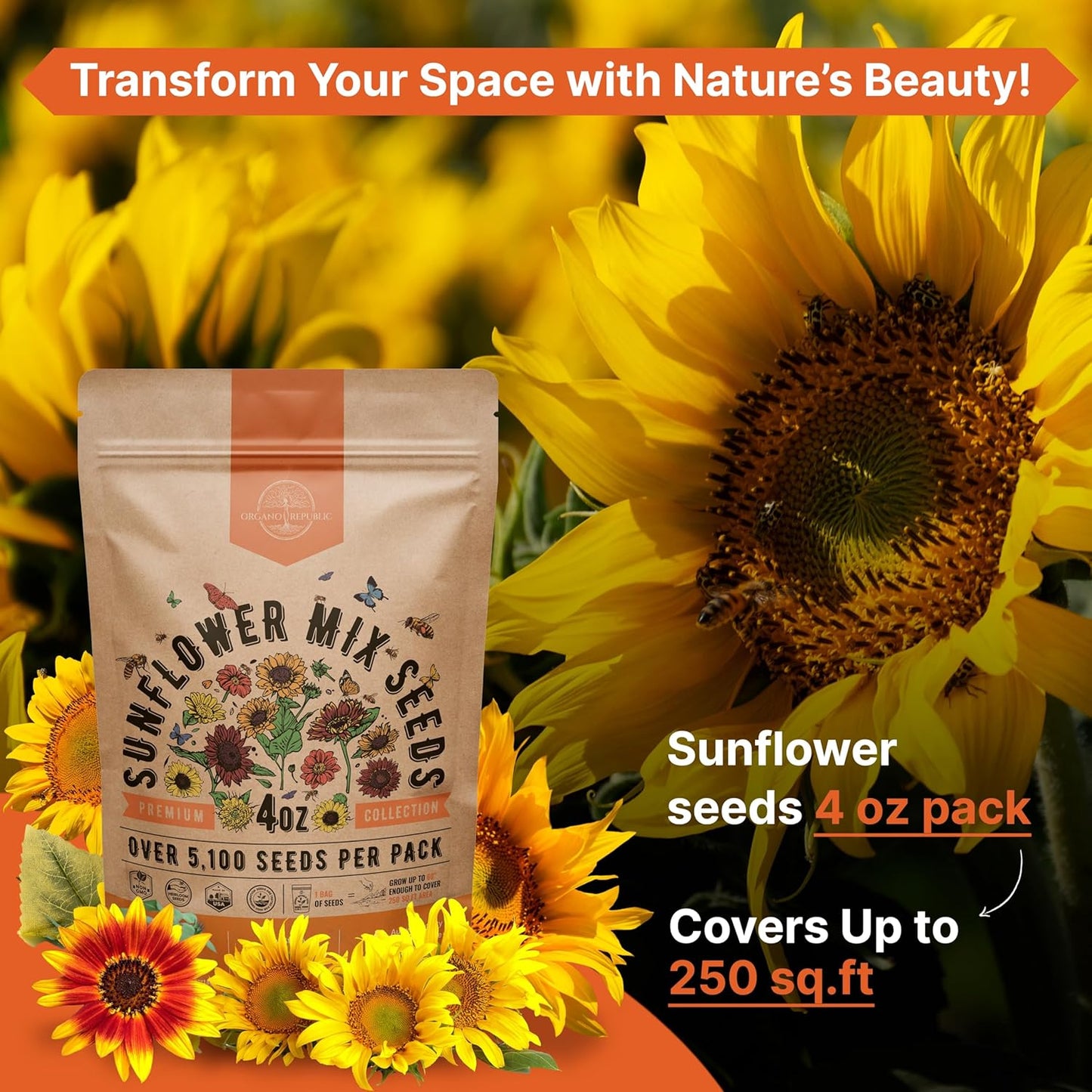 Sunflower Mix Seeds Pack 4 oz - Over 5,100 Non-GMO Heirloom Sunflower Seeds for Planting, Annual Flowers in Individual Seed Packet for Planting Home Garden Indoor & Outdoor Gardening