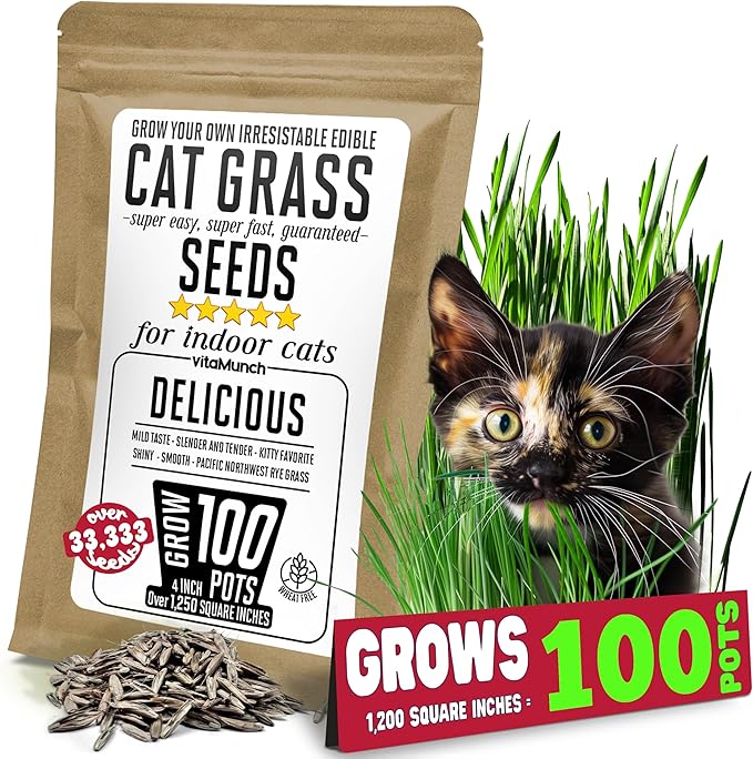 Cat Grass Seeds – Smooth Tasty Ryegrass – Grows 100 Pots of Fresh Cat Grass for Indoor Cats & Kittens – Easy & Fast – Bulk Rescuer's Pack Grows 1,250 Square inches of Edible cat Grass Vitamunch