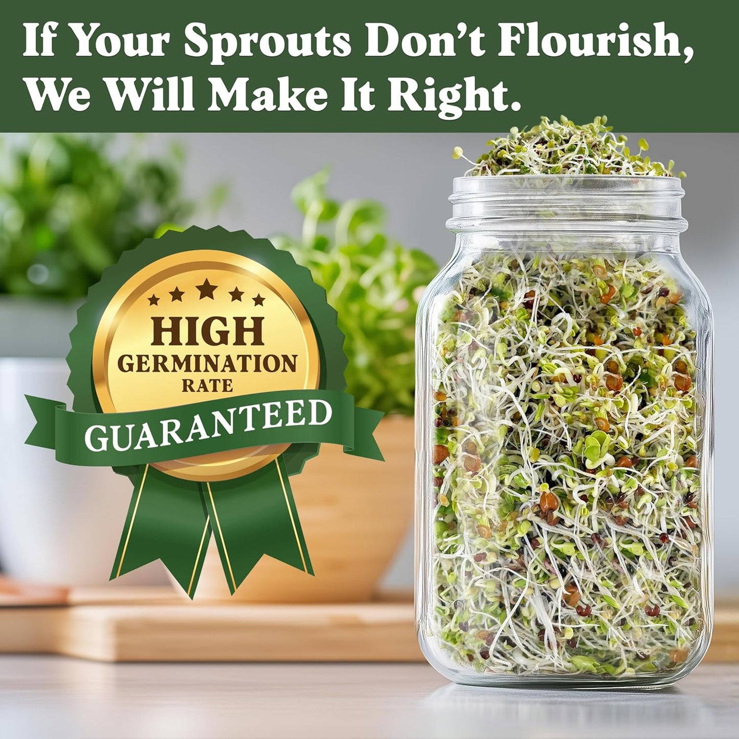 Seedboy Organic Sprouting Seeds - Superfood Blend - Non-GMO, USA Grown Microgreens Mix - Broccoli, Radish, Pak Choi, Clover, Red Kale - Makes 8 Quarts of Sprouts, 24 Servings (8 oz) (Superfood Blend)