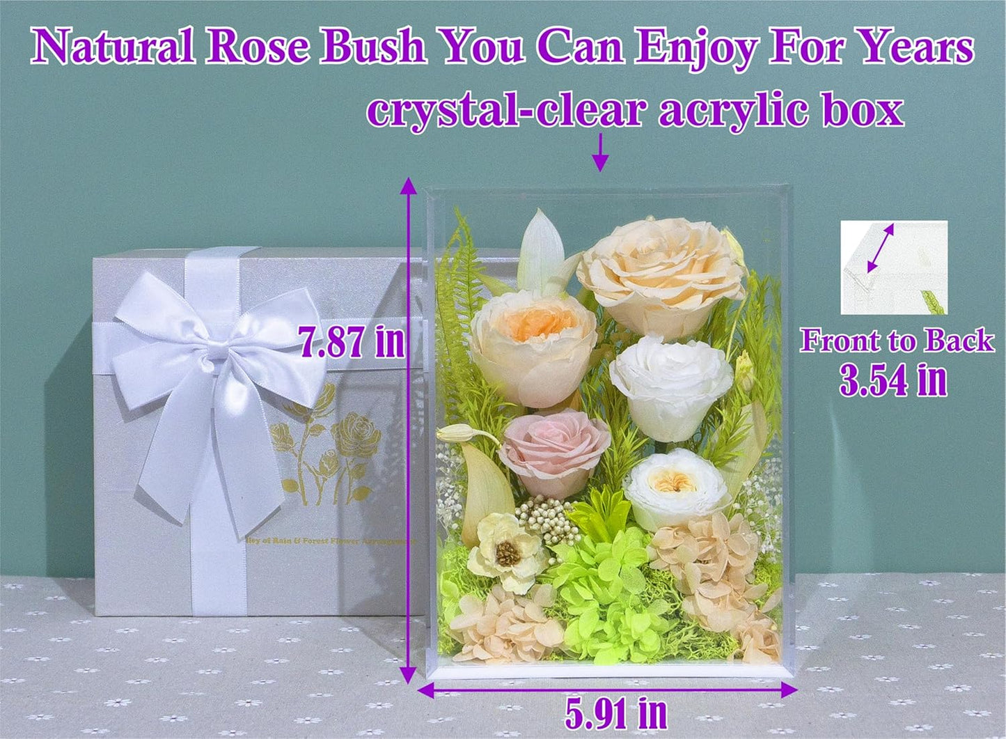 Valley of Rain & Forest Long-Lasting Real Flowers, Handcrafted Preserved Rose Bush For you to Send Love for All Occasions, Floral Arrangement for Indoor Decoration, Champagne Yellow Rose Spring-themed