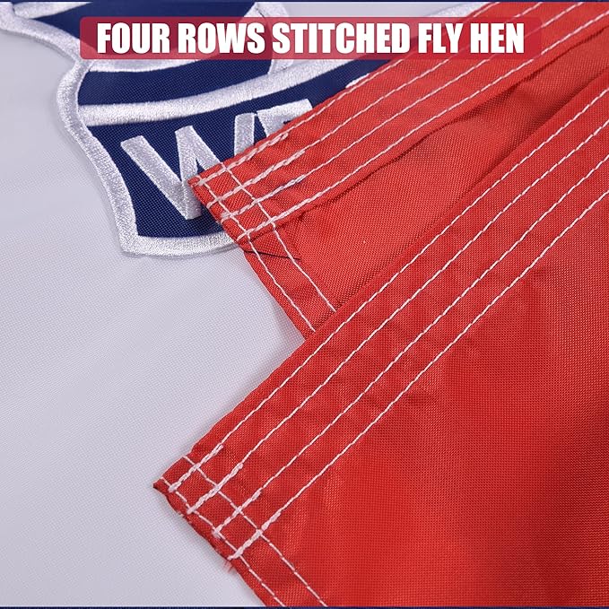 Iowa State Flag 4x6 Ft, Deluxe Full Embroidered Heavy Duty Nylon Durable IA Outside Flags, Indoor/Outdoor, Sewn Stripes and Brass Grommets