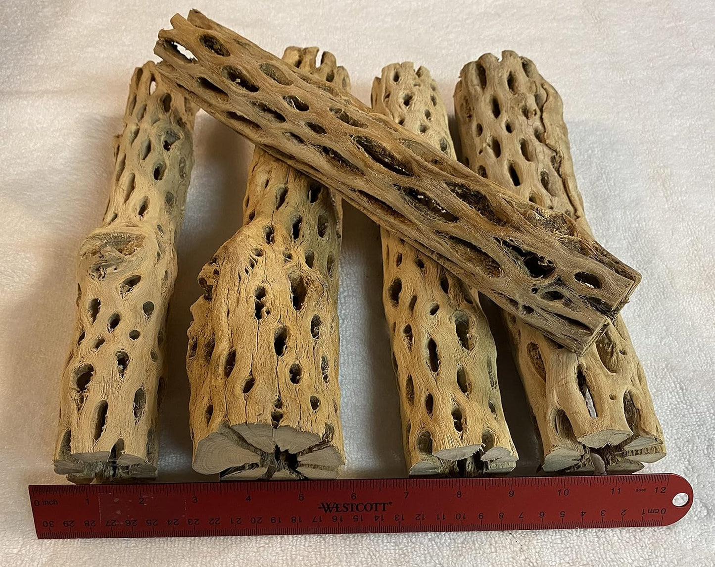Awesome Aquatic 12 inch 2-3” Thick XL Teddy Bear/Chain Fruit/Buckhorn/Staghorn Cholla Wood Hollow Tube Wood Cactus Skeleton Tubes 12” x 2-3” Thick/Diameter (12 in x 2-3 in Diameter)