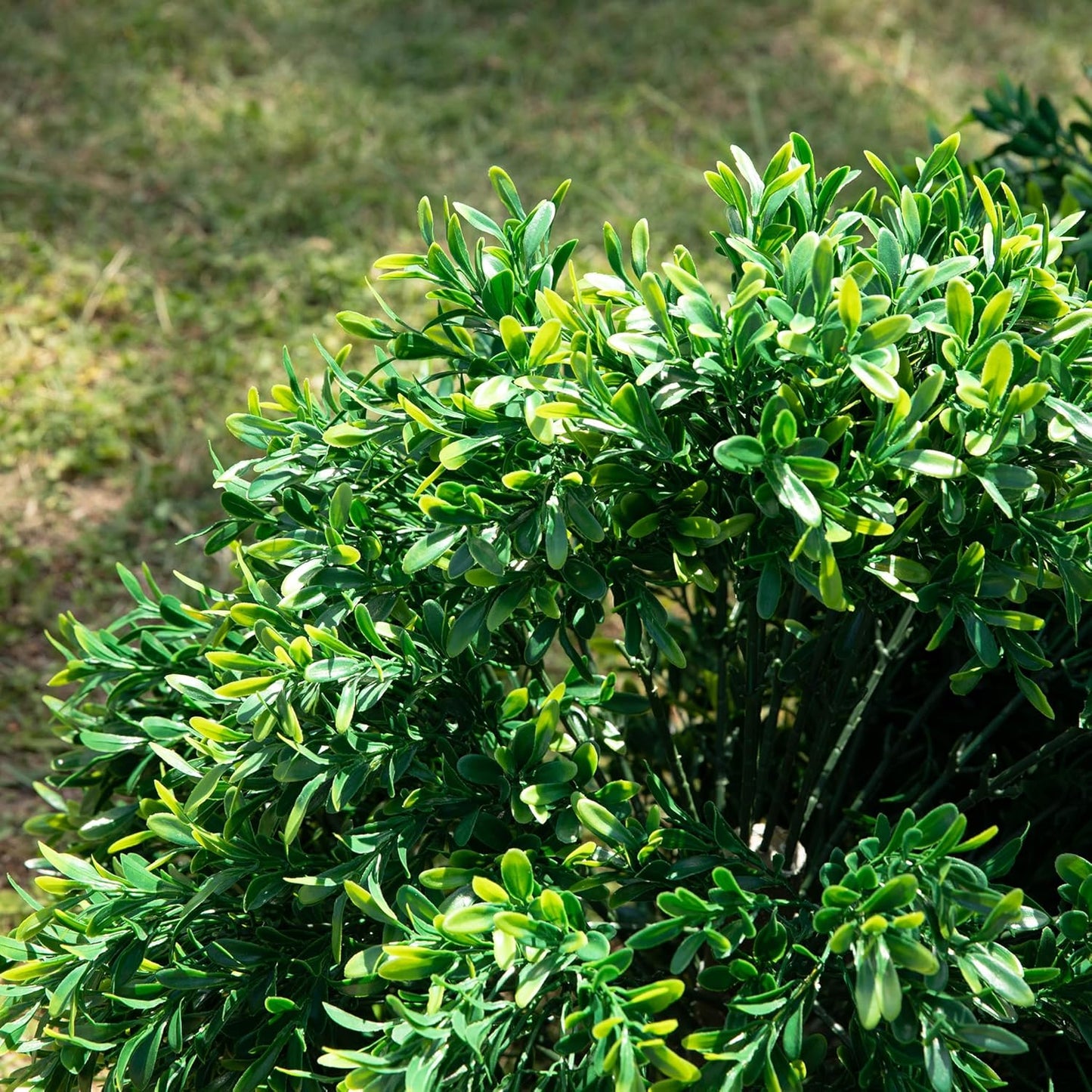 Premium 16" Diameter Artificial Japanese Boxwood Topiary – Set of 2 Faux Plants with Ground Spikes – UV-Resistant, Realistic Outdoor & Indoor Garden Décor – Weatherproof and Durable