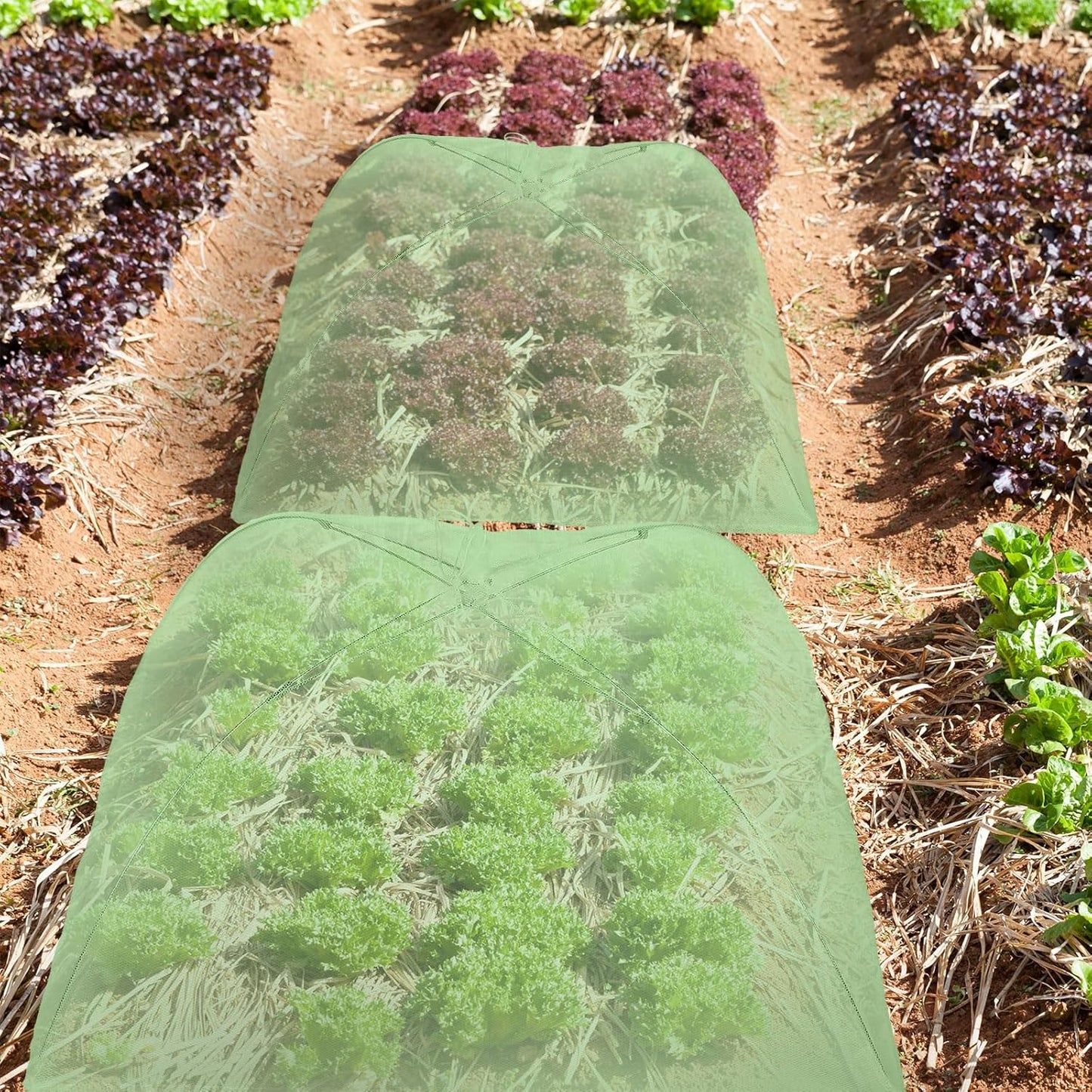 Sawysine 4 Pack Mesh Plant Cover Reusable Screen Cloche Dome Plant Protector Tent Collapsible Umbrella for Outdoor Garden Greenhouse Vegetable Flowers Strawberry from Animals(24 x 24 Inch,Green)