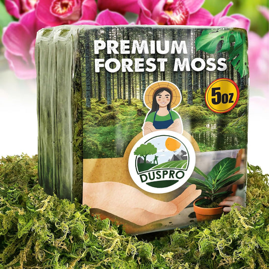 DUSPRO Dried Moss for Potted Plants, Forest Orchid Moss for Potting Mix, Sphagnum Potting Moss for Plants Indoor, Real Moss Soil Cover for Houseplant (5 OZ)