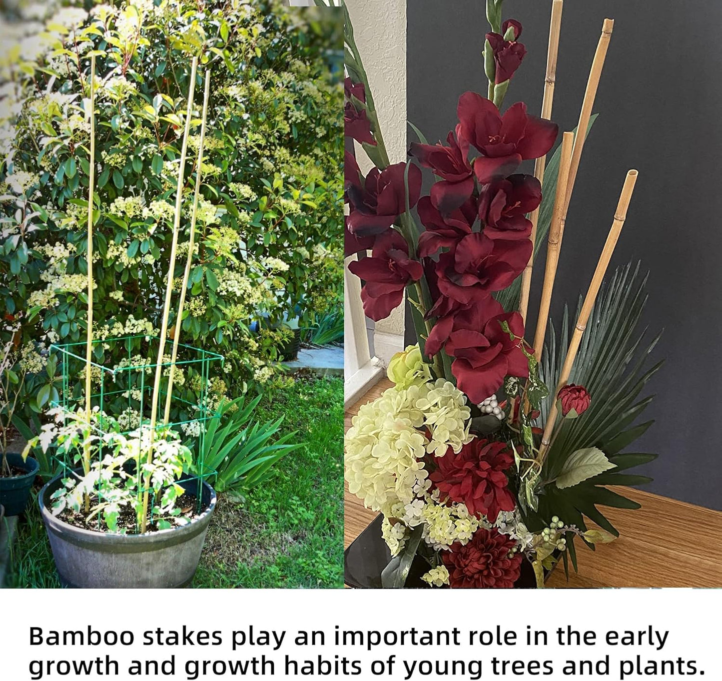 50Pcs Garden Stakes, 0.32”/16 Inch Bamboo Sticks，Natural Plant Stakes for Indoor and Outdoor Plants，Poles for Tomatoes, Beans, Potted Plants