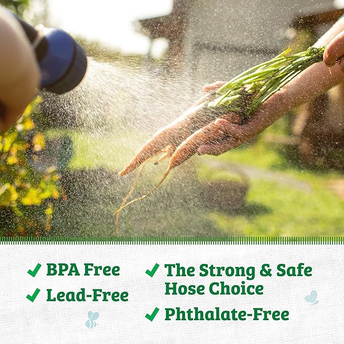 Back to the Roots Kink Resistant, BPA-Free Garden Hose, 100ft