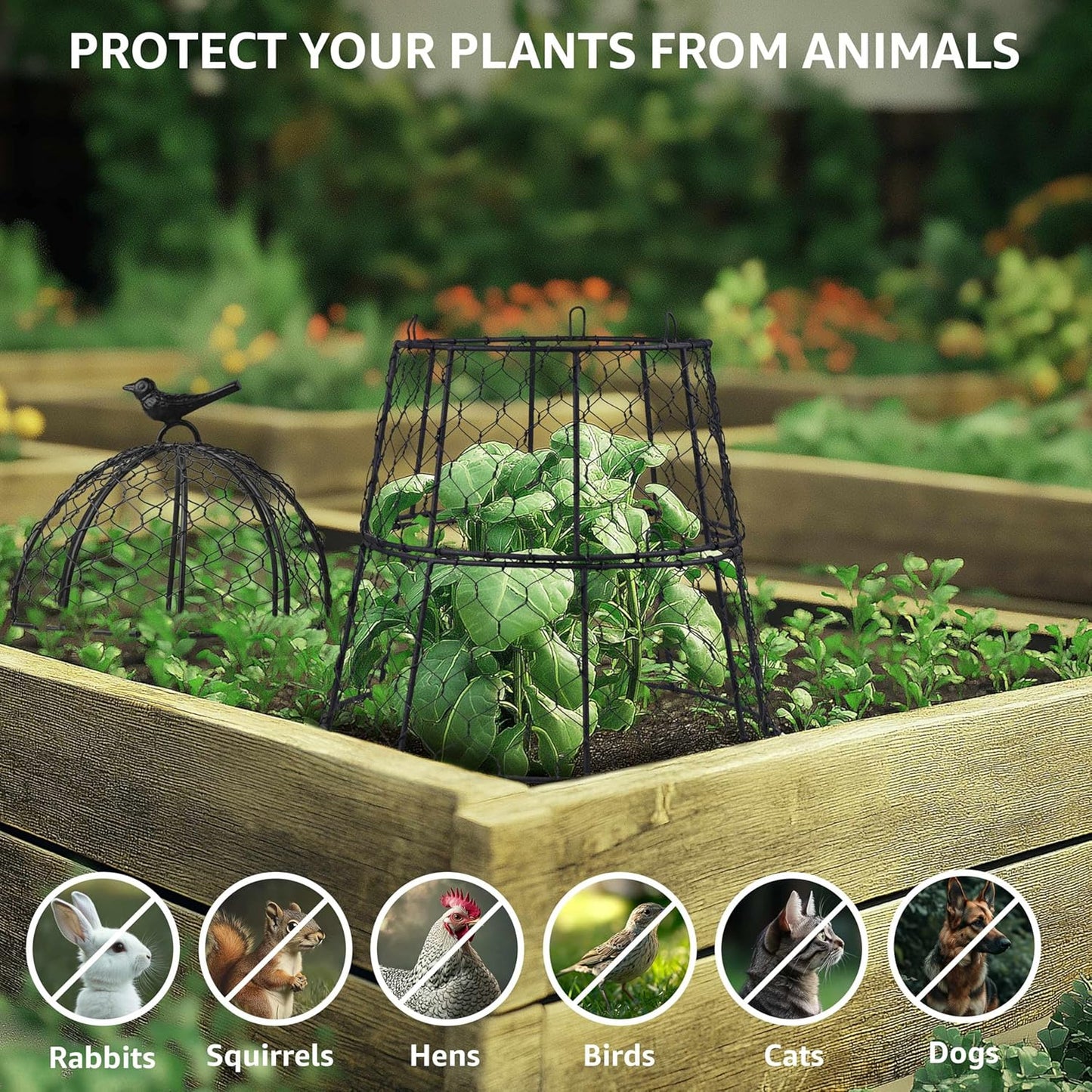Pack of 12 Heavy-Duty Chicken Wire Plant Cloches – Rustproof Garden Protectors and Plant Cages for Vegetables and Flowers – Safeguard Plants from Deer and Critters – 20” x 12”