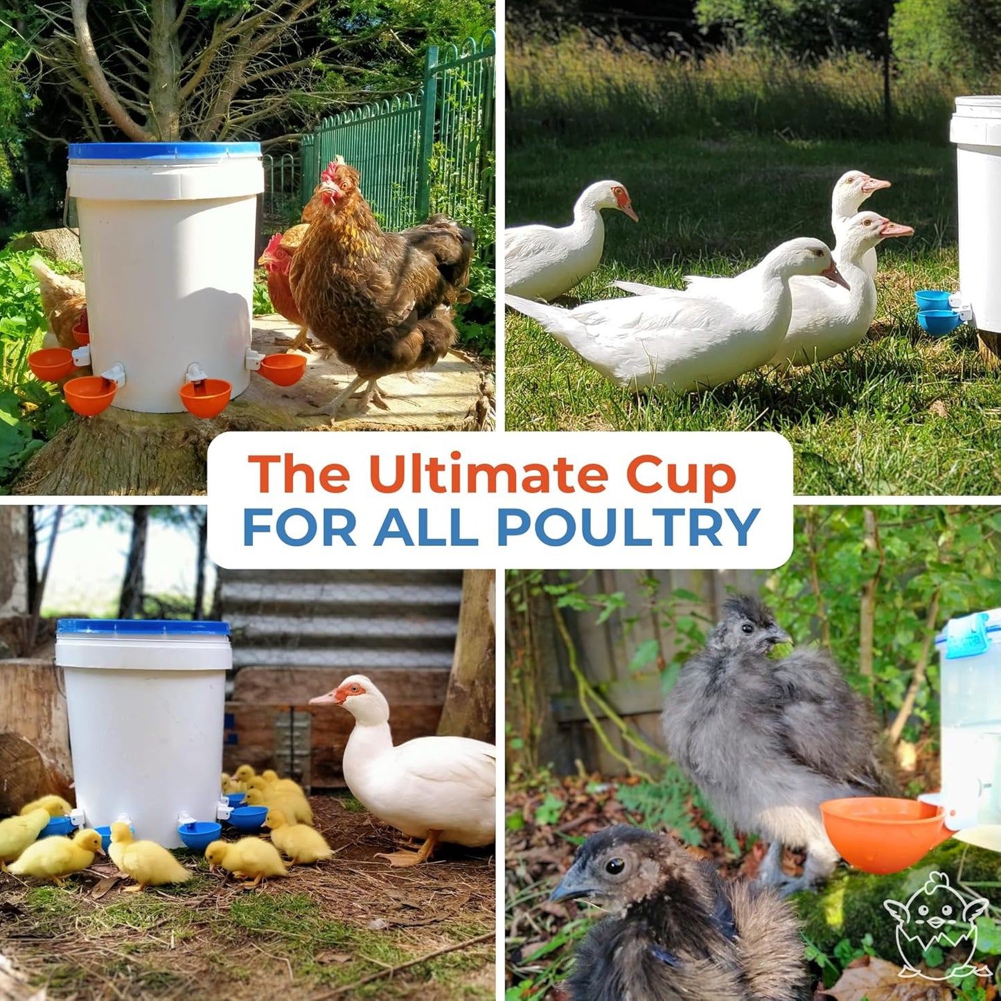 Lil Clucker - Blue Large Automatic Chicken Waterer Cups Suitable for Ducks, Geese, Turkeys, and Bunny Rabbit - Water Feeder Kit - Poultry Waterer - Pack of 8…