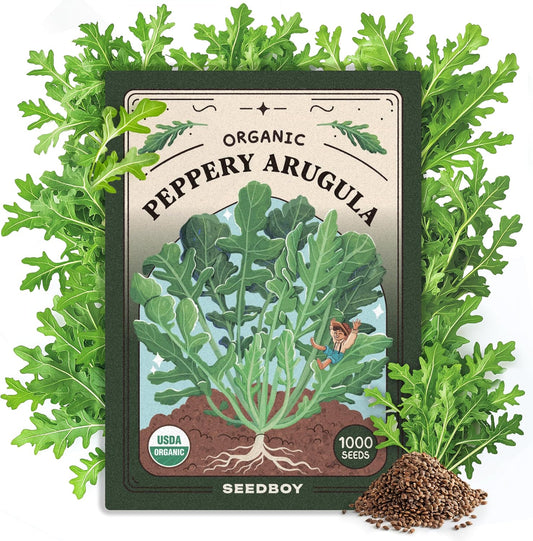 Seedboy Organic Arugula 'Slow Bolt' Seeds for Planting Indoor and Outdoor, Non-GMO and USDA Certified Herb Seed Packet for Hydroponic Garden Indoor or Planting Outdoors (Slow Bolt Arugula)