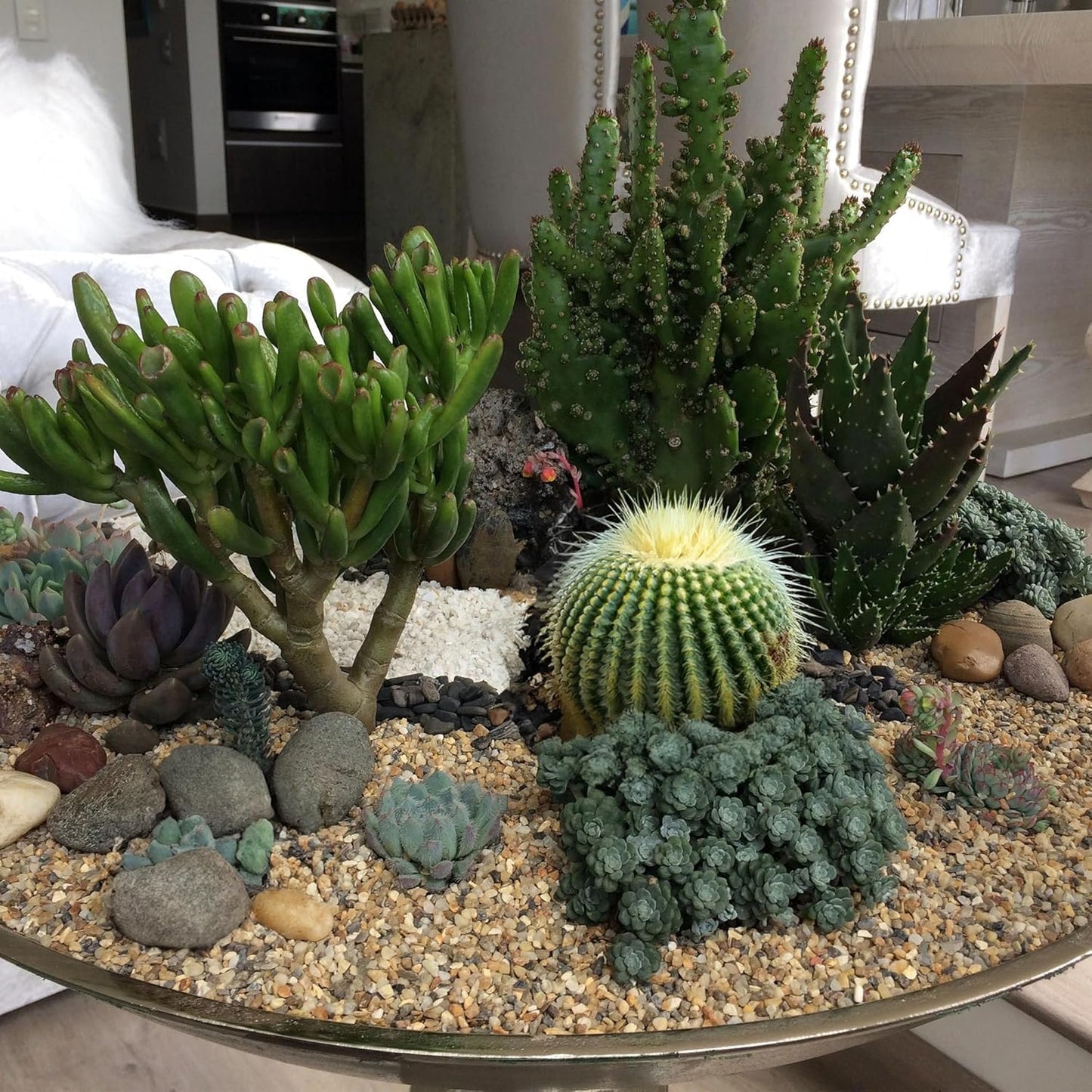 10 lbs Aquarium Gravel, 2-4mm Fish Tank Gravel, Succulent Cactus Pea Gravel for Indoor Plants, River Rocks for Gardening, Flower Pots, Vase Fillers, Garden Landscaping