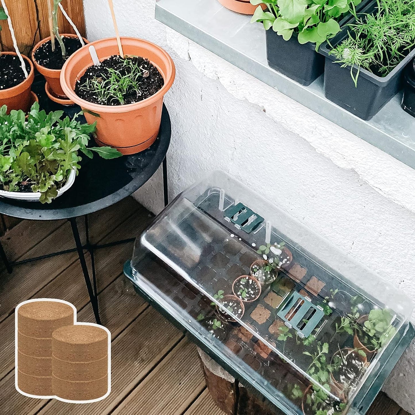 ZeeDix Organic Coco Coir Pellets Potting Soil, 50pcs 30mm Compressed Coconut Coir Seed Starter Soil Pellets, Coco Peat Soil Discs for Indoor Outdoor Plants, Herbs, Houseplants, Flowers and Vegetables