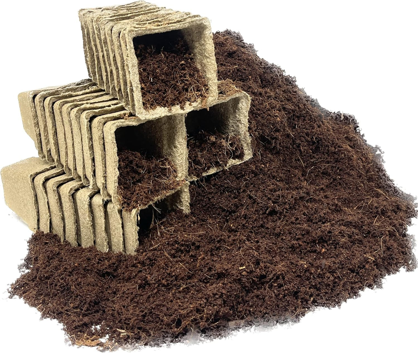 Seed Needs, Culinary Herb Seed Packet Collection Seed Starting Bundle (Includes 12 Individual Seed Packets, 36 Starter Pots & 1 Expandable Coco Coir Brick) Heirloom, Non-GMO, Untreated