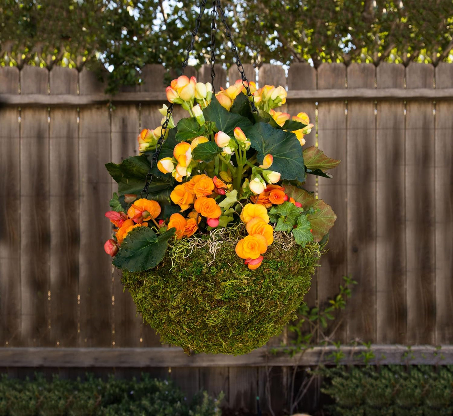 SuperMoss (29202) MossWeave Hanging Basket - Round, Fresh Green, Small (12.5 Diameter)"