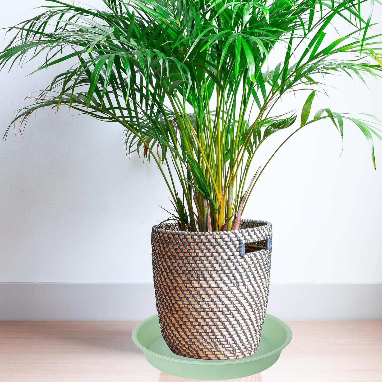 6 Pack of 12 inch Plant Saucer, Heavy Duty Plastic Plant Saucer 12" Round, Durable Plant Tray for Pots, Plant Saucers for Indoors, Plant Trays for Planter (12", Light Green)