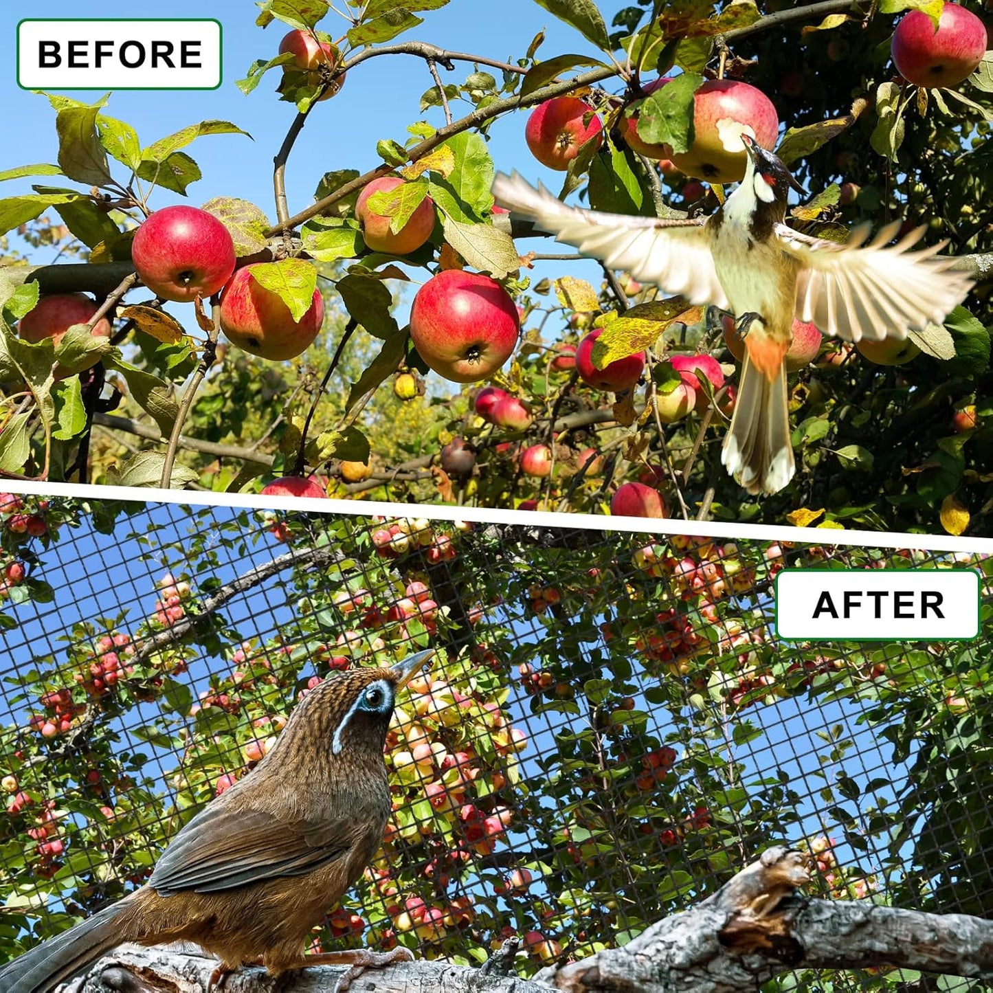 Bird Netting 50'x100' with 3/4" Mesh Hawk Net for Chicken Run,Poultry Netting Heavy Duty Nylon Aviary Net for Chicken Coop Roof Garden Nettings for Fruit Trees Plant